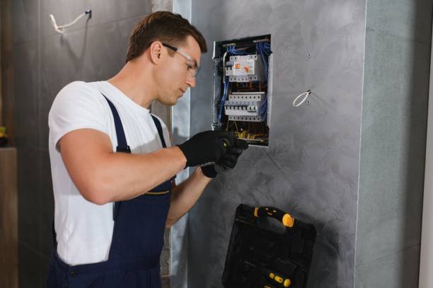 Best Electrician for Home Renovation  in Roseville, MN